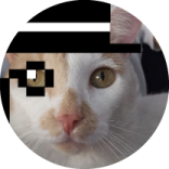 goodle